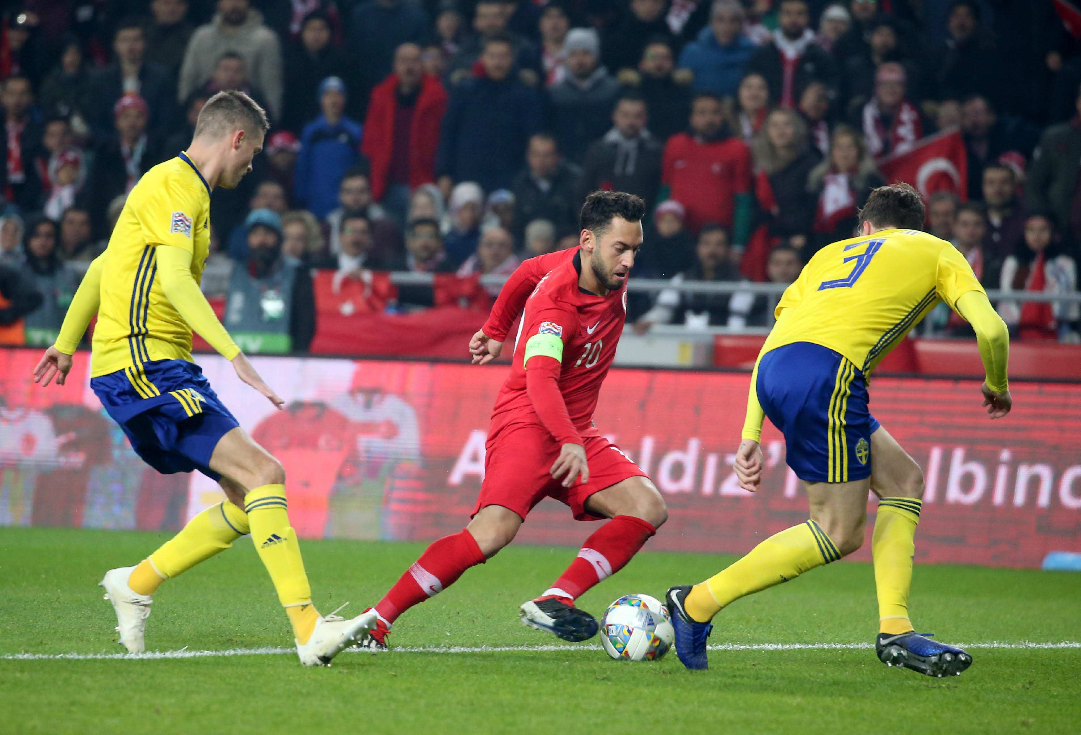 蛇并非单一 蛇并非单一